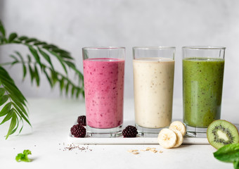 colorful vegan smoothies with blackberries, banana and oatmeal, kiwi and spinach. vegan food concept. gray background with palm leaves. horizontal image, copy space, selective focus.