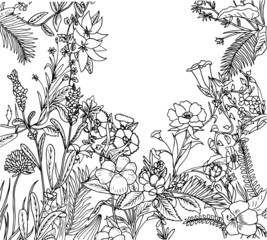 floral background hand drawing