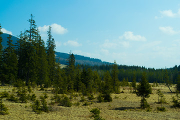 Austria, Alps. Rest and lake in the mountains, landscape.