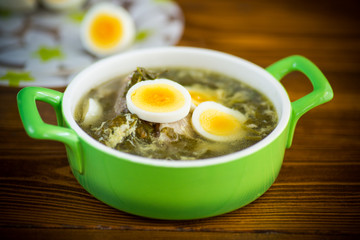 fresh spring organic soup with green sorrel and egg in a plate