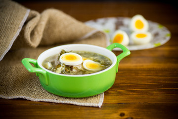 fresh spring organic soup with green sorrel and egg in a plate