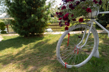 Fototapeta na wymiar vintage bicycle scenery painted white