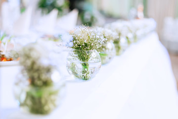 many small transparent vases with water and bouquets of gypsophi