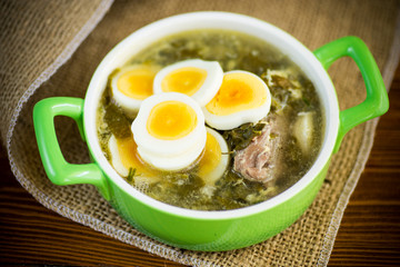 fresh spring organic soup with green sorrel and egg in a plate