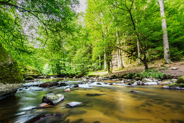 Obraz premium Beautiful river deep in the forest, sunny spring summer weather. Nature landscape, rocks and flowing water stream. Tranquil natural environment