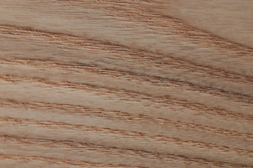 Brown relief of wooden surface