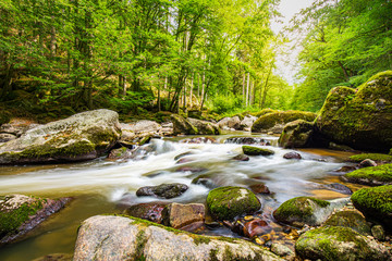Obraz premium Beautiful river deep in the forest, sunny spring summer weather. Nature landscape, rocks and flowing water stream. Tranquil natural environment