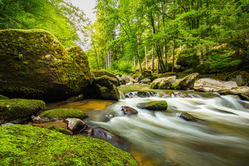 Beautiful river deep in the forest, sunny spring summer weather. Nature landscape, rocks and...