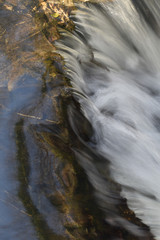 Detail of a stream flowing through a woodland in Cornwall