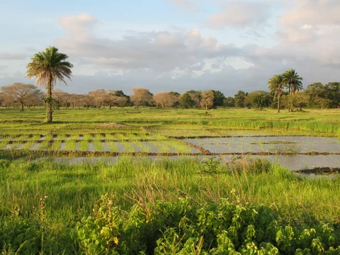 La Casamance