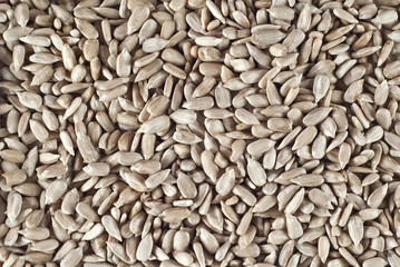 Texture of raw peeled sunflower. Many sunflower seeds piled on pile.