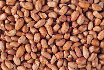Dry peanut texture. Many peanut grains on the pile.