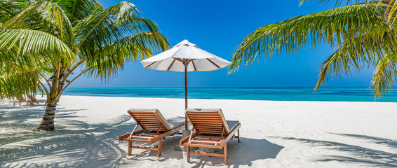 Tropical beach background as summer landscape with lounge chairs and palm trees and calm sea for beach banner
