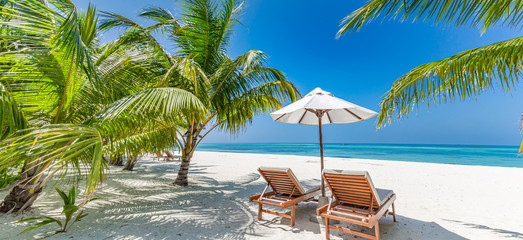Tropical beach background as summer landscape with lounge chairs and palm trees and calm sea for...