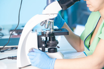 Hands of female in gloves working with light or fluorescent stereo microscope in research...