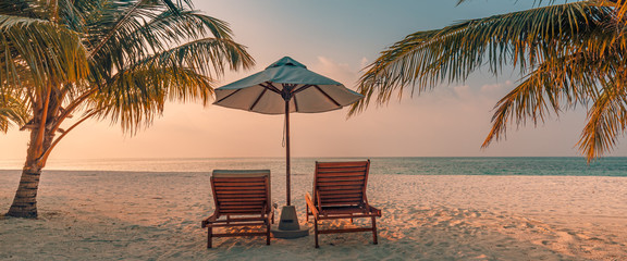 Beautiful tropical beach banner. White sand and coco palms travel tourism wide panorama background concept. Amazing beach landscape