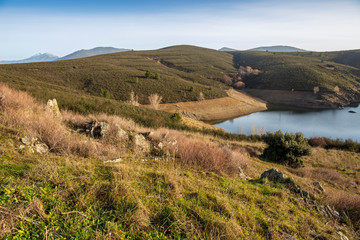 Naklejka premium Pinos en la Sierra Norte y embalse del Atazar un día soleado. Madrid. España. Europa.
