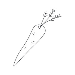 Cute doodle carrot. Hand drawn vector illustration for vegan poster, banner, recipe, culinary design, menu. Isolated on white background