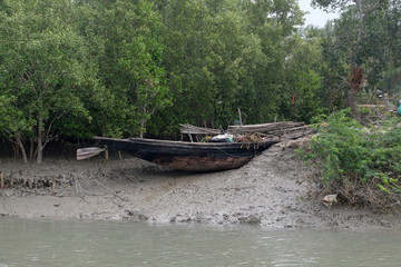 Fototapeta na wymiar Boat on mud banks, Mangrove forest, Sundarbans, Ganges delta, West Bengal, India