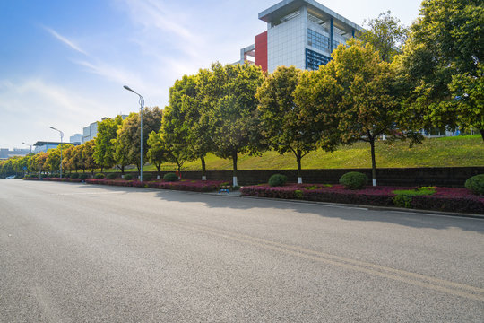 Tree-lined avenue and office building