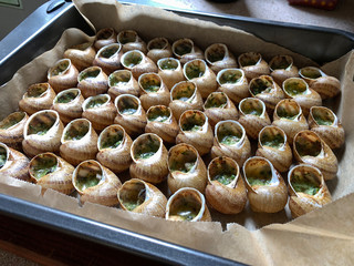 Escargots de Bourgogne - Snails with garlic butter, close up.