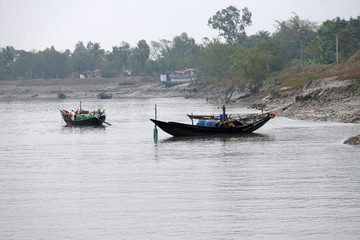 Fototapeta na wymiar Rowing boat in the swampy areas of the Sundarbans, UNESCO World Heritage Site, India