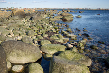 stones over water on a sunny day

