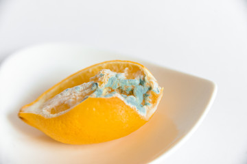 Cut lemon on a white dish with mold, spoiled.