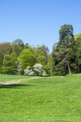 Obraz premium Walkway over a lawn in a public park with blooming bushes and trees with freshly cut leaves and clear blue sky in spring.