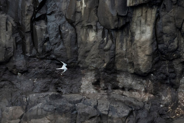 Färöer - Inseln im Nordatlantik