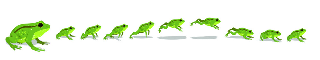 Frog jumping animation  sequence. Vector illustration.