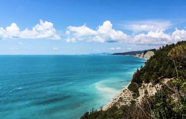 Fototapeta premium beautiful summer view of the forest, rocks and wild beach in the camp 