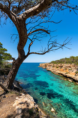 Fototapeta na wymiar Spot along the coast of Ibiza, Spain.