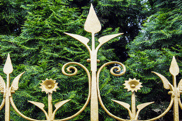 Fragment of old forged fence covered with golden paint against background of bright green...
