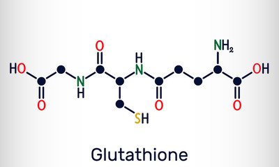 Glutathione, GSH, C10H17N3O6S molecule. It is an important antioxidant in plants, animals and some bacteria. Structural chemical formula