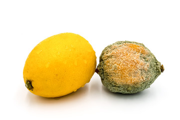 Citrons pourris et frais isolés