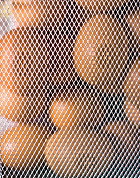 egg, huevos, textura