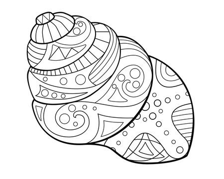 Swirling cone-shaped shell with a marine pattern - antistress coloring book - vector linear picture for coloring. Outline. Marine coloring - clam in a shell with patterns for coloring.