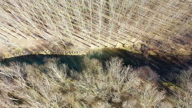 River and woodland. Ega river. Navarre, Spain. Europe. Aerial view. 4K.