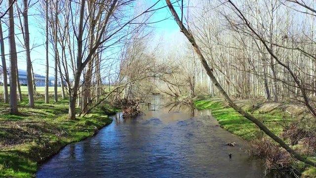River and woodland. Ega river. Navarre, Spain. Europe. 4K.