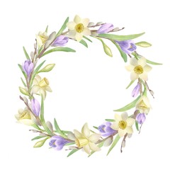 Watercolor composition of spring flowers with willow branches, narcissus, crocus, saffron on white background. Frame, wreath, border in pastel soft colors