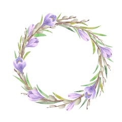 Fototapeta na wymiar Watercolor composition of spring flowers with willow branches, crocus, shaffron on white background. Frame, wreath, border in pastel soft colors