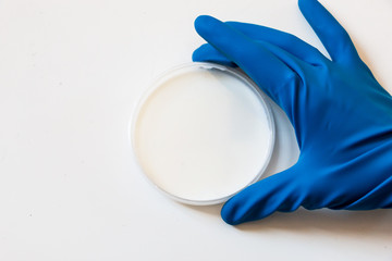 Petri dish with white liquid like milk and a blue glove that took it. Petri dish white on white, concept for medical analysis, pharmaceutical research clinics. Clinical medical research background 