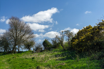 Fototapeta na wymiar North Devon countryside near Bideford