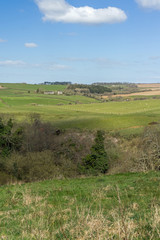 Fototapeta na wymiar North Devon countryside near Bideford