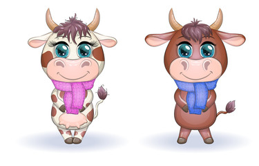 Cute cartoon couple cow and bull with scarves with beautiful big eyes. Symbol of the year 2021 according to the Chinese calendar.