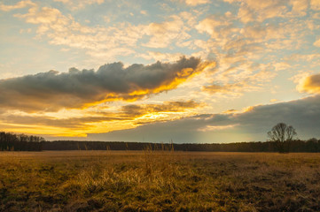 Leśna polana © Konrad