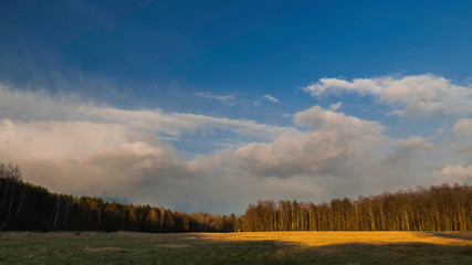 Leśna polana © Konrad