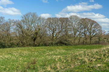 Devon countryside near Bideford