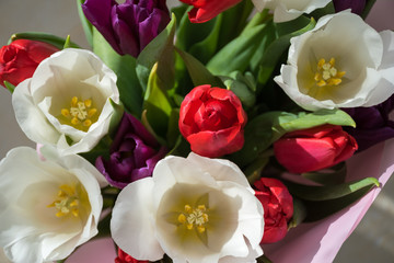 Spring floral arrangement. Bouquet of white, red and purple tulips